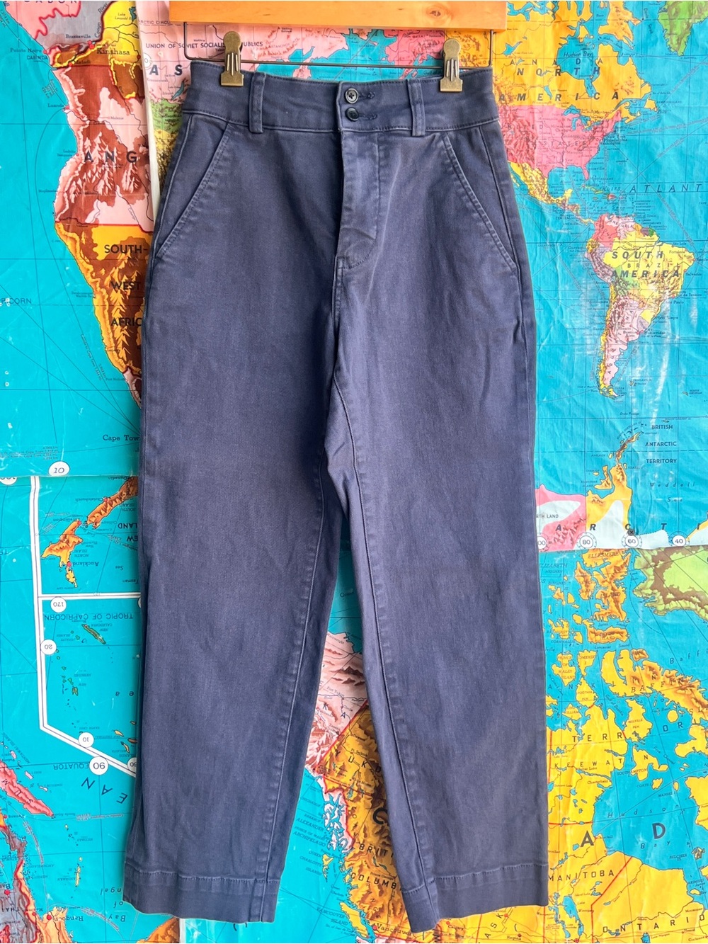 Everlane Navy Organic Cotton Pants